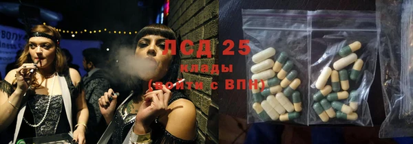 шишки Алексин