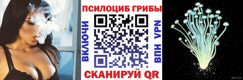 гидра ссылка  Рославль  Псилоцибиновые грибы мухоморы 